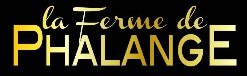 PRODUCTEUR DE CANARD GRAS AUSSAT FERME DE PHALANGE